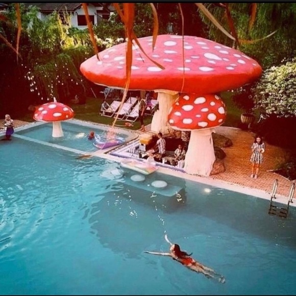 MEET YOUR POSHER!! Aloha kākou! - Picture 3 of 11